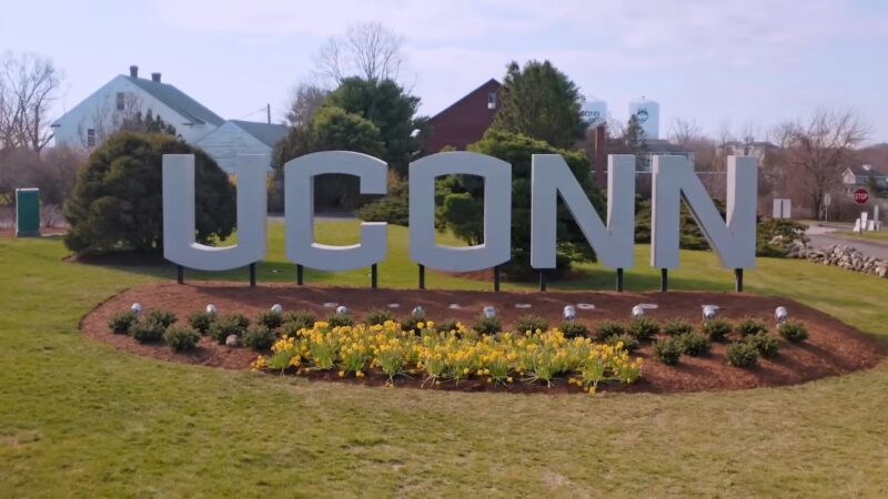 University of Connecticut